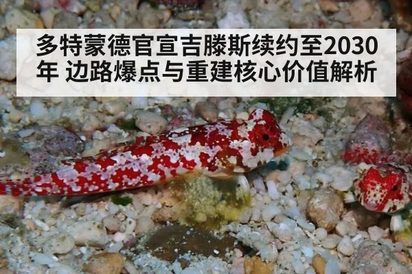 多特蒙德官宣吉滕斯续约至2030年 边路爆点与重建核心价值解析