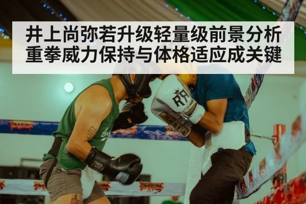井上尚弥若升级轻量级前景分析 重拳威力保持与体格适应成关键